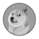 Shiba Inu